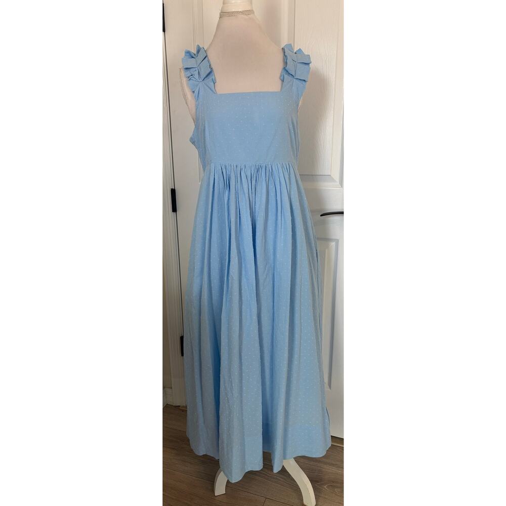 Lake Lolly Dress in Morning Blue Swiss Dot Size Large Midi length